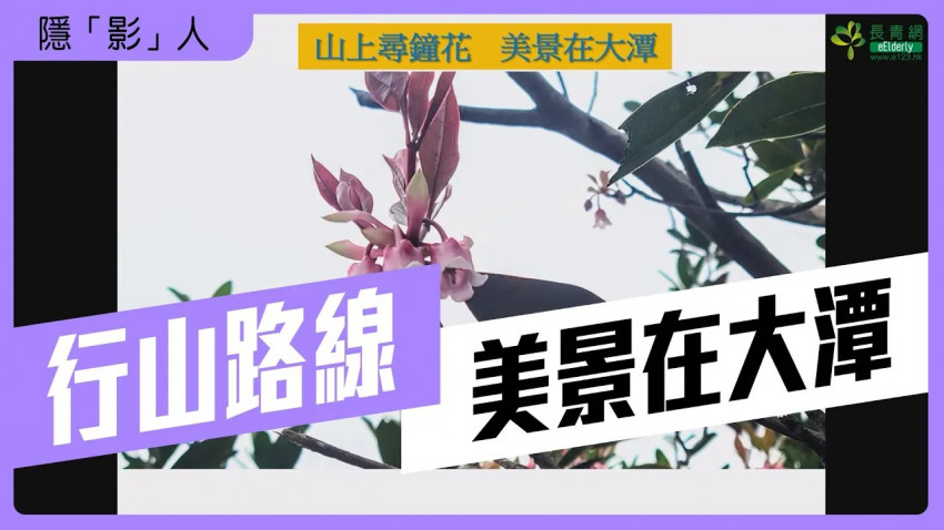 隱「影」人—行山路線｜美景在大潭